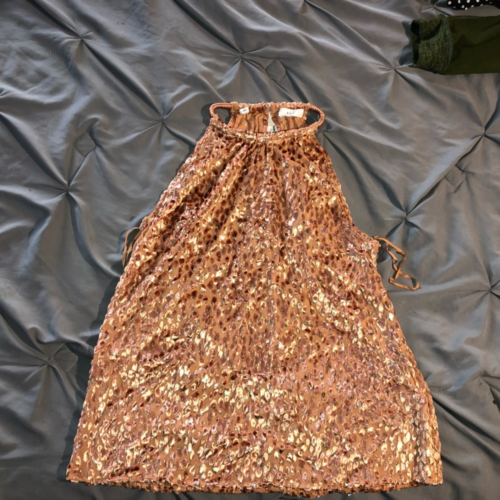 ALC Dress Top Women Size 4 Brand New